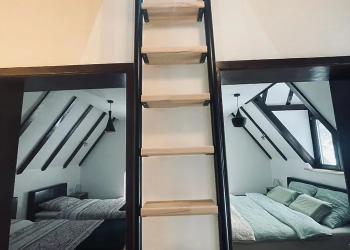 Cilibar Stara Planina Crni Vrh