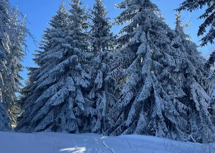 Cilibar Stara Planina בית נופש